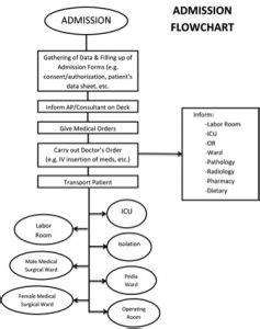 amosup telehealth|Processes & Requirements – AMOSUP.